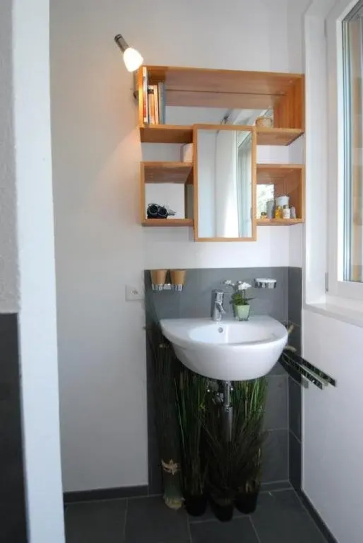 Bio-Studio Königskerze