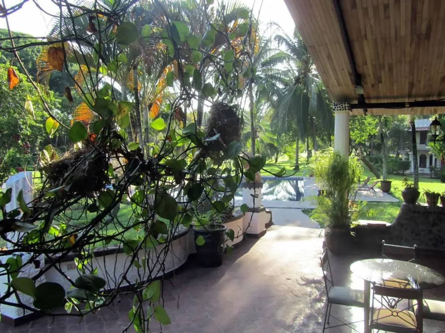 Paraiso del Cocodrilo