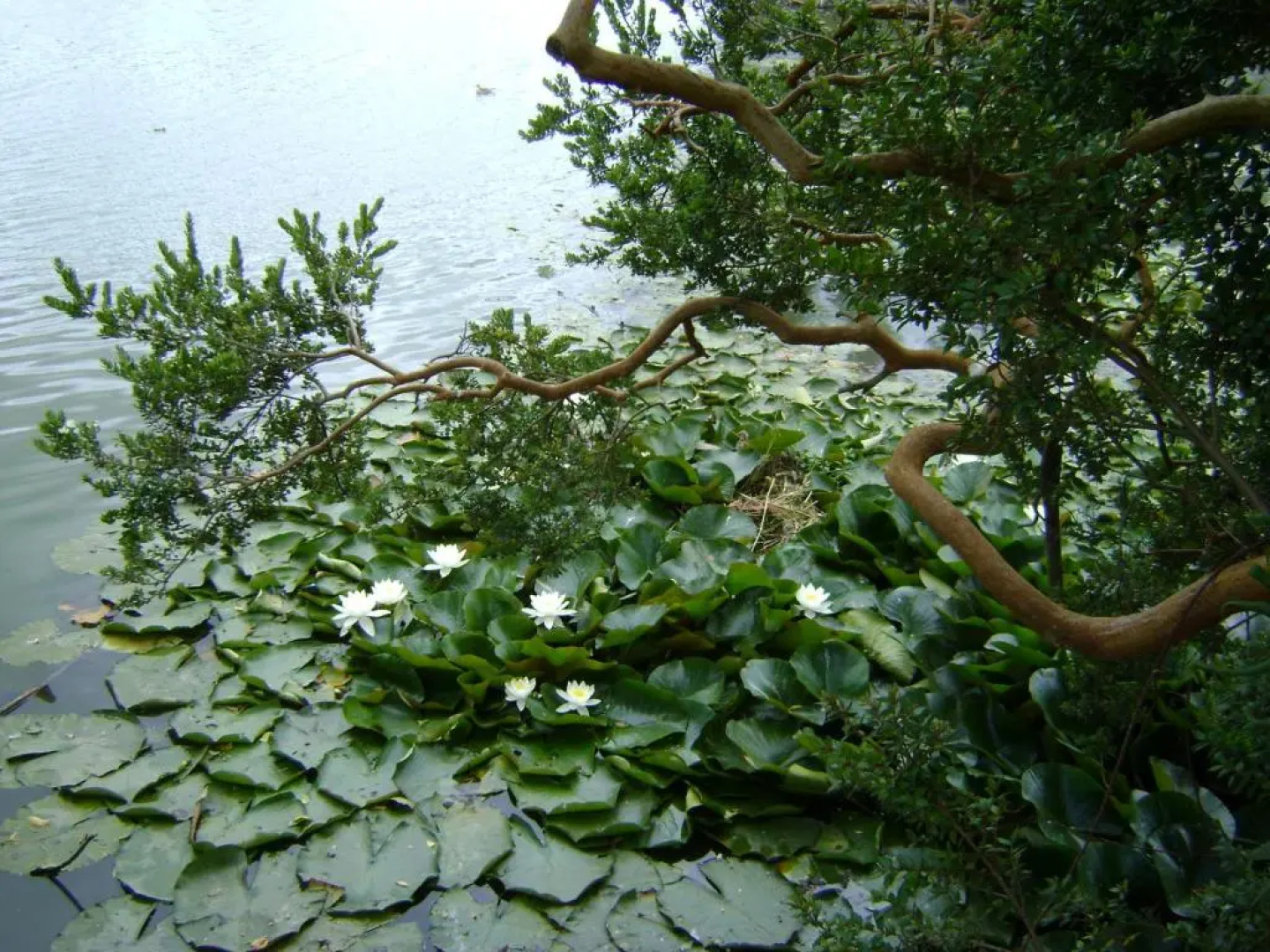 Hotel Boutique Casa Werner