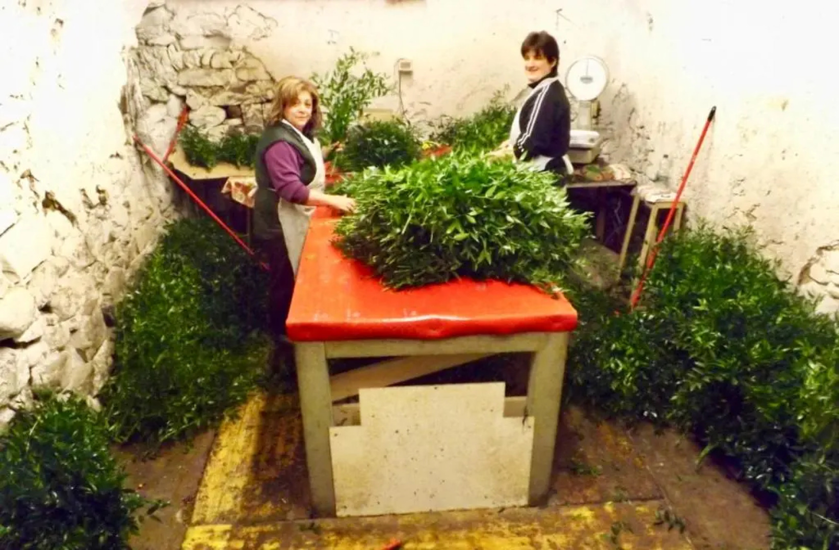 Via Liberale Sleeps 8 Isolabona Italy