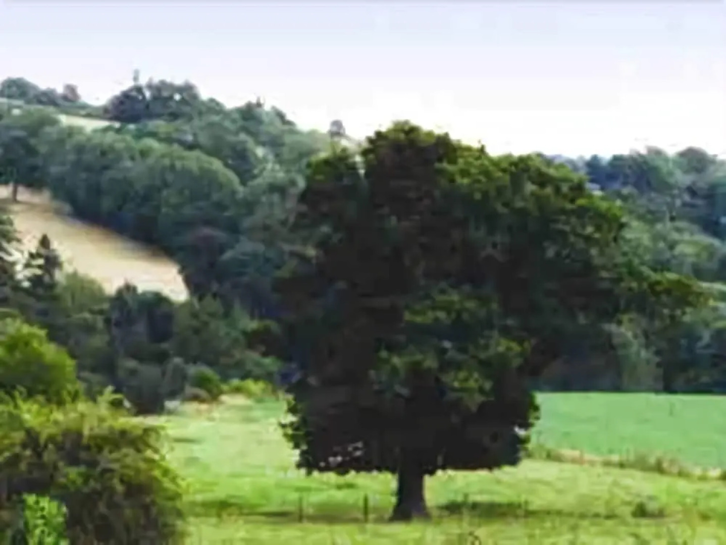 Becketts Bed and Breakfast