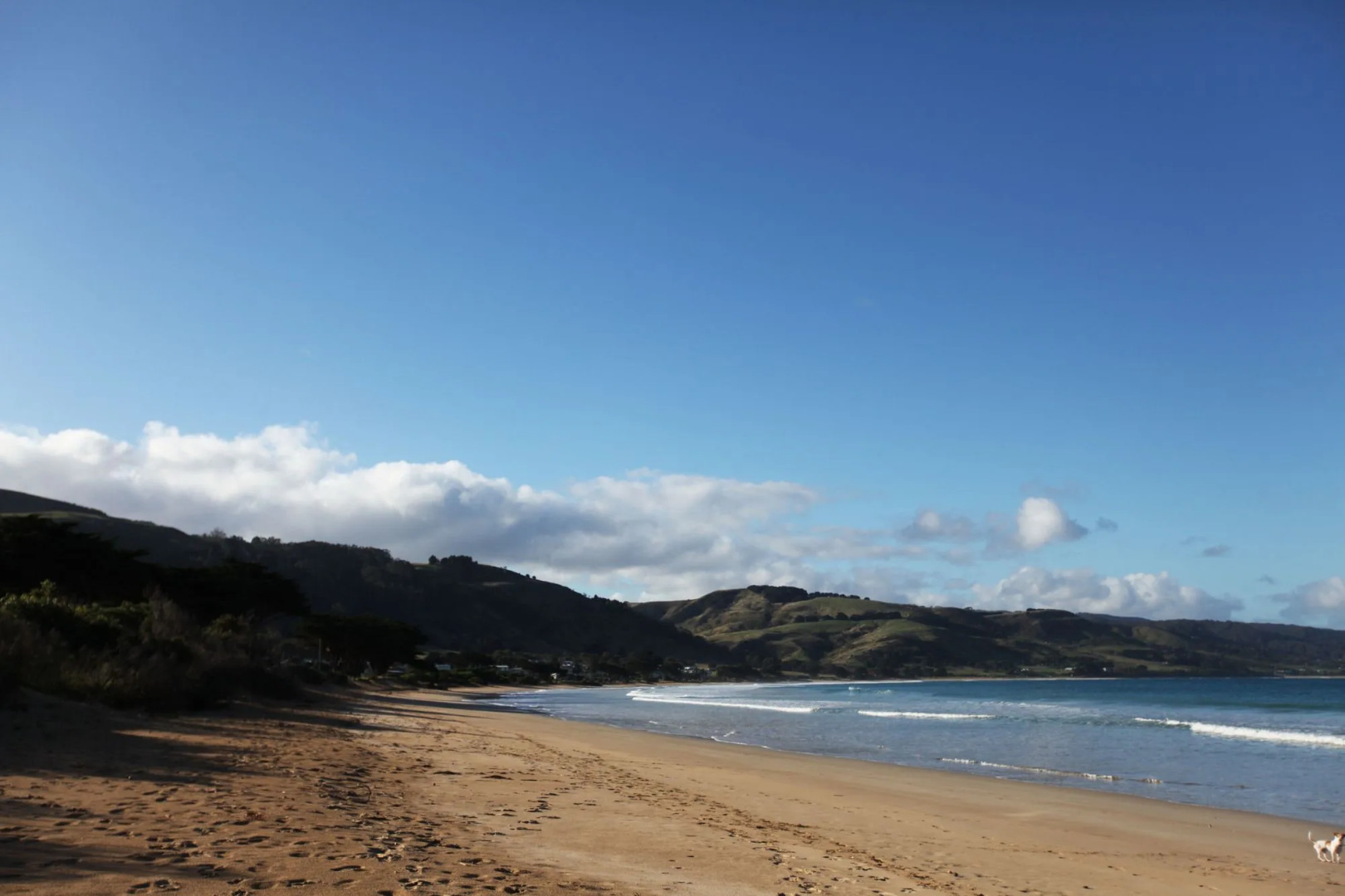 Seaview Motel and Apartments
