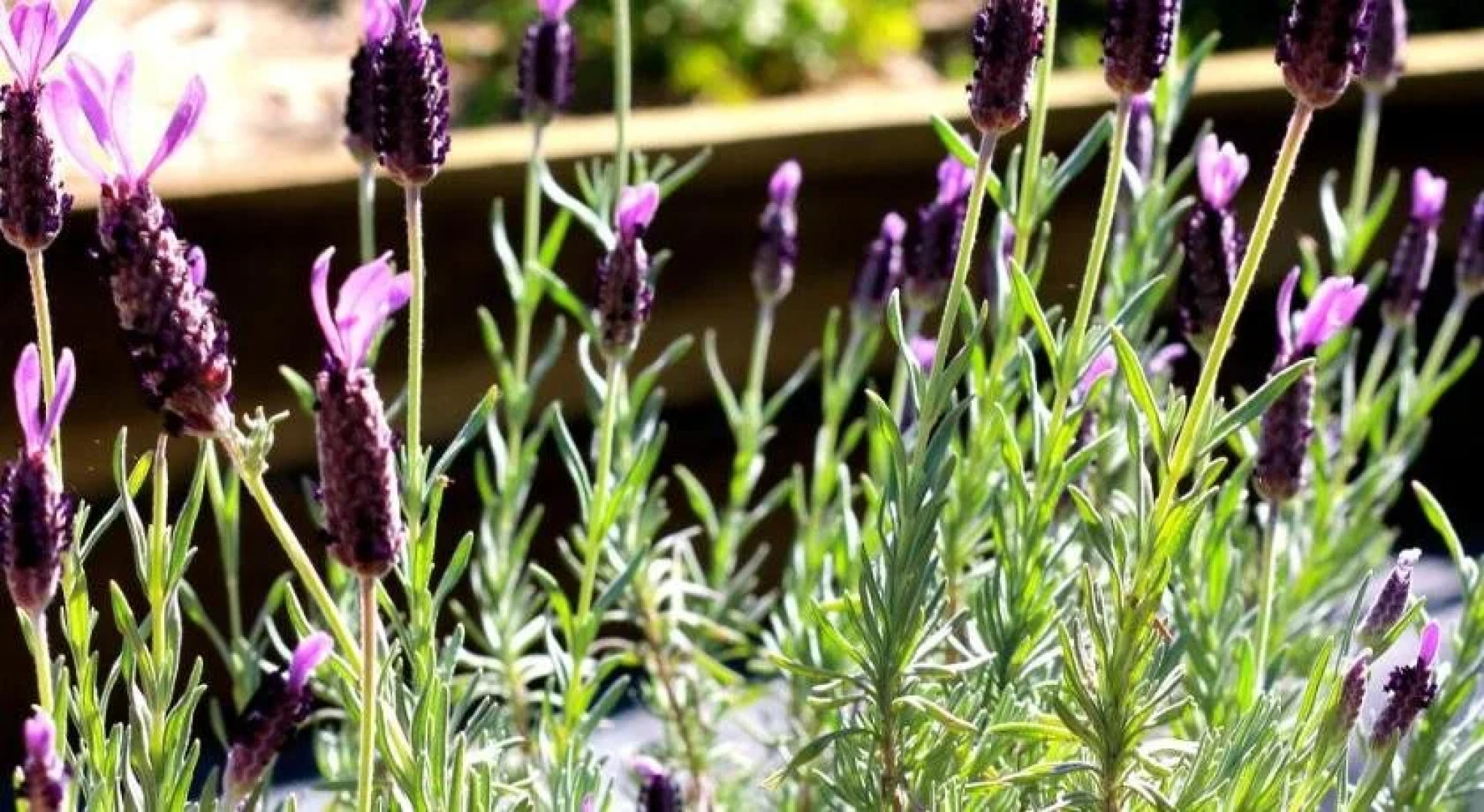 The Friendly Chat Bed and Breakfast