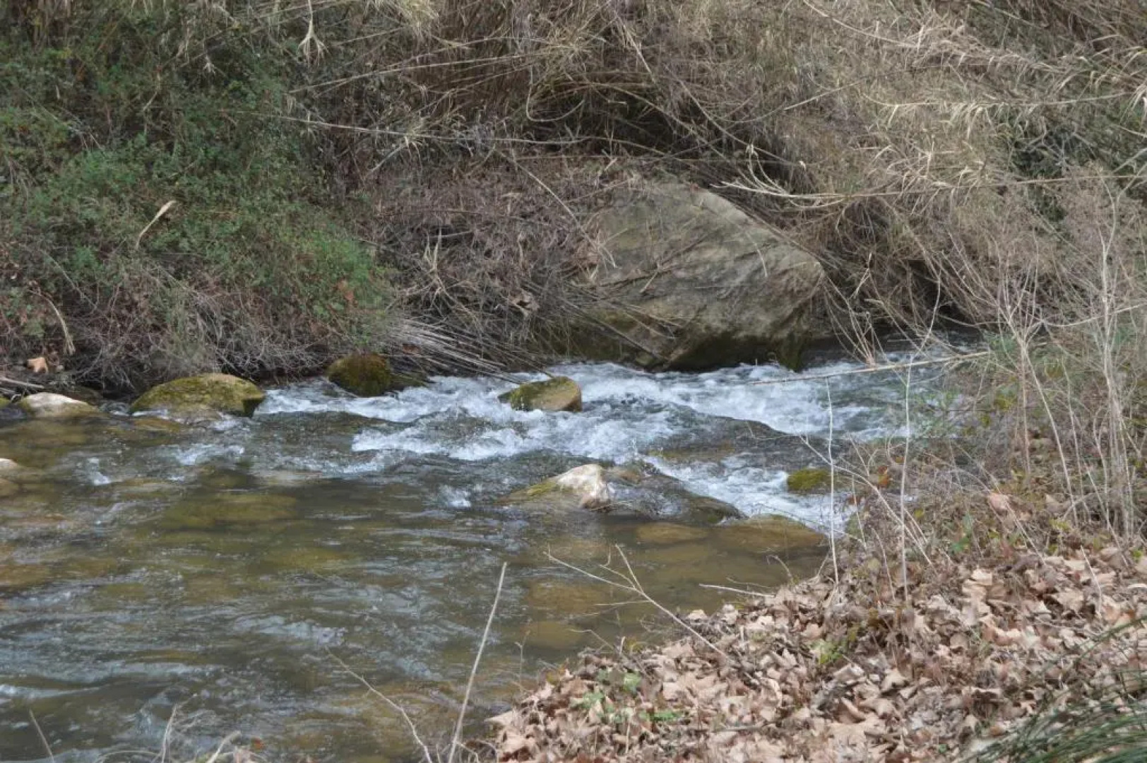 Apartamento Casa Rafa