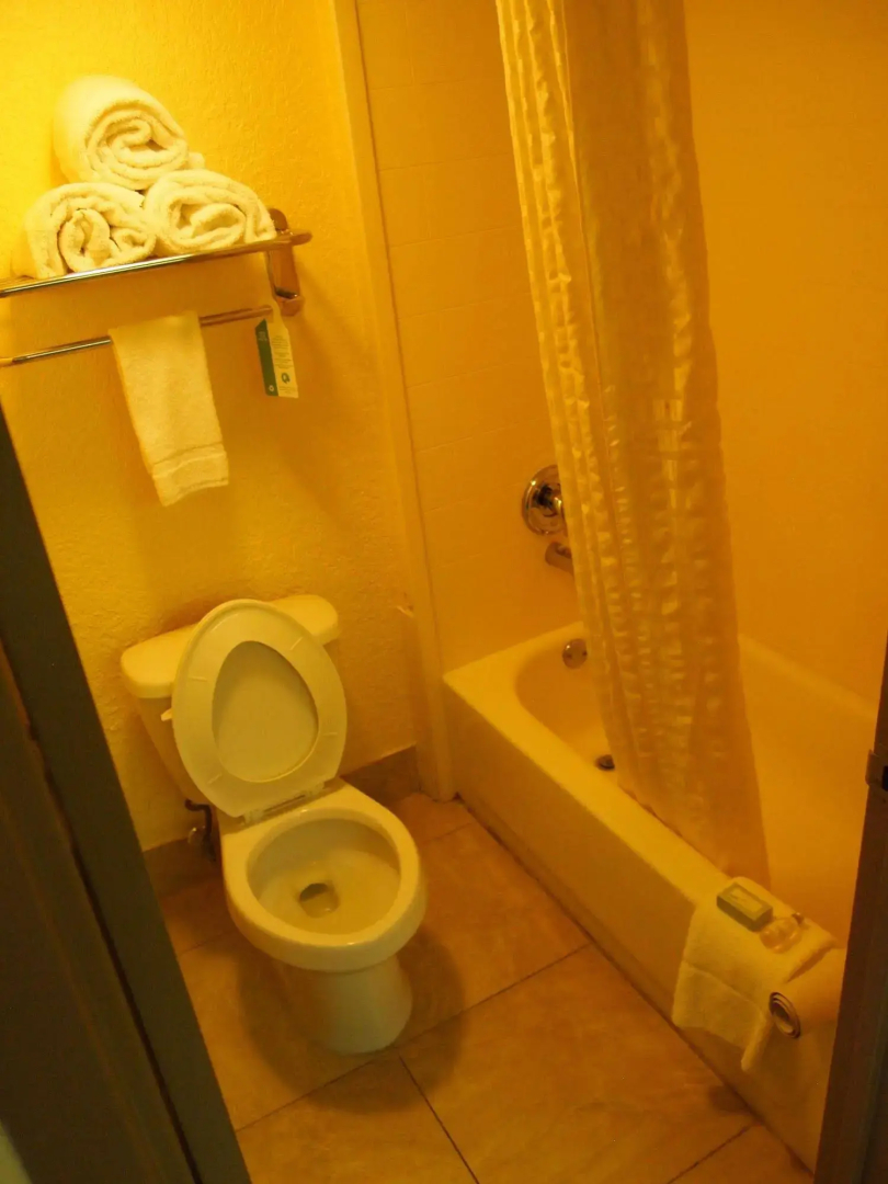 Best Western Ft. Lauderdale I-95 Inn
