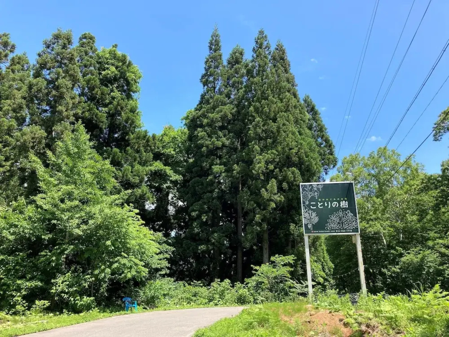 Japanese Style Pension Kotorinoki