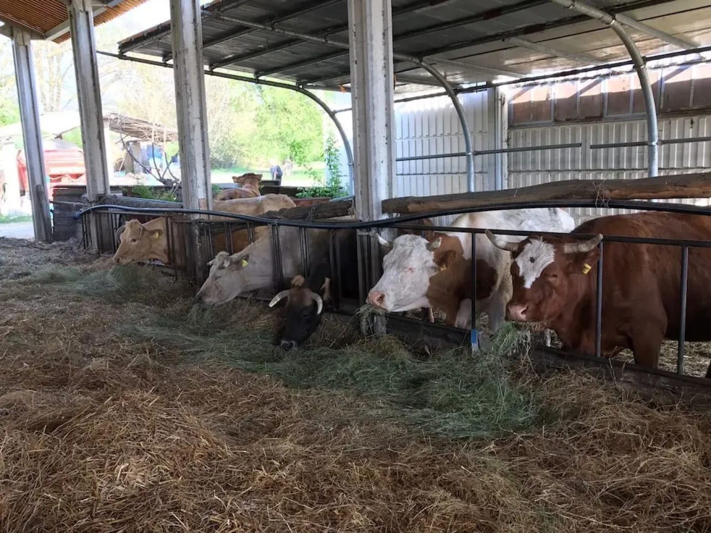 Agriturismo Fattoria Didattica I Due Mondi