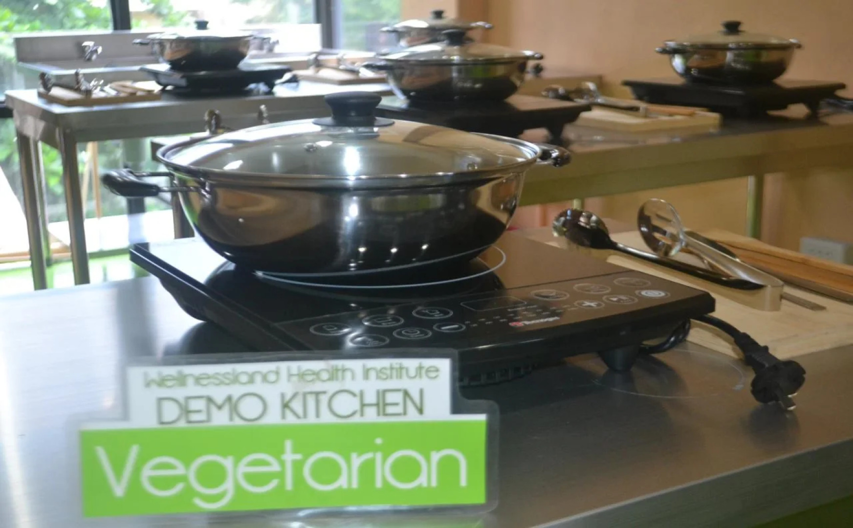 Wellnessland Wholeness Center