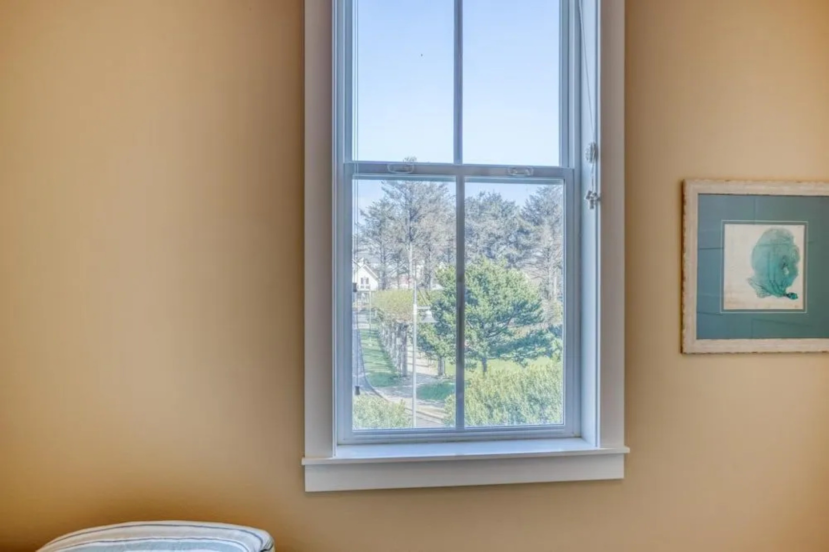 Blue Shutter Olivia Beach