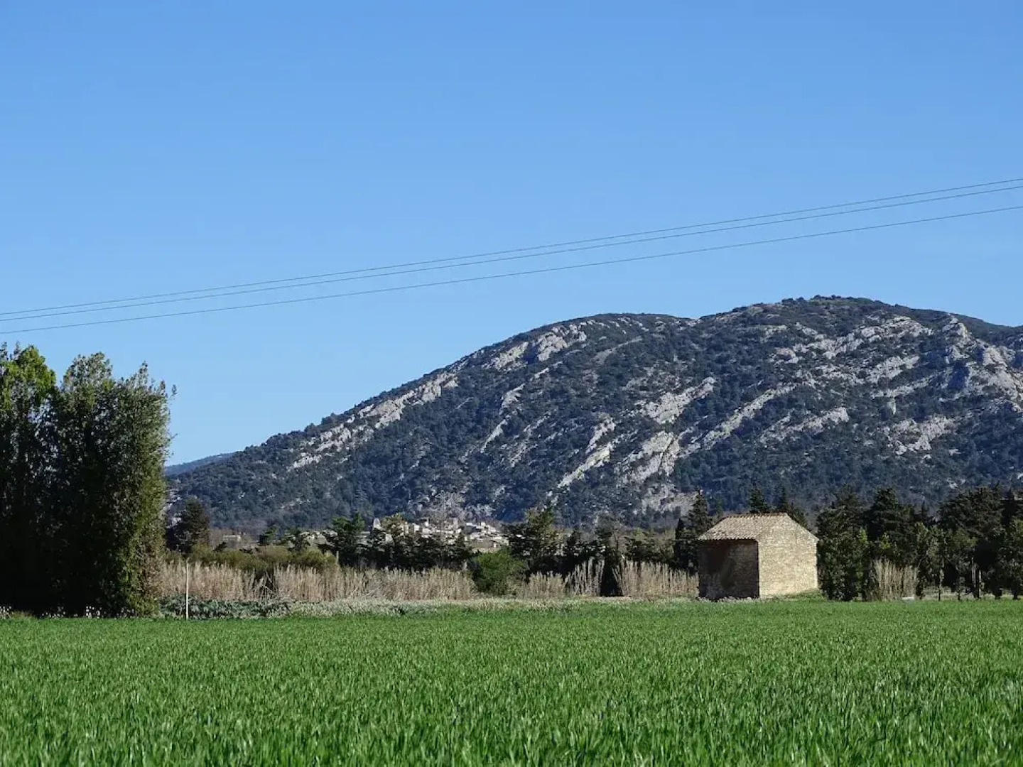 La Louvière des Bruyères