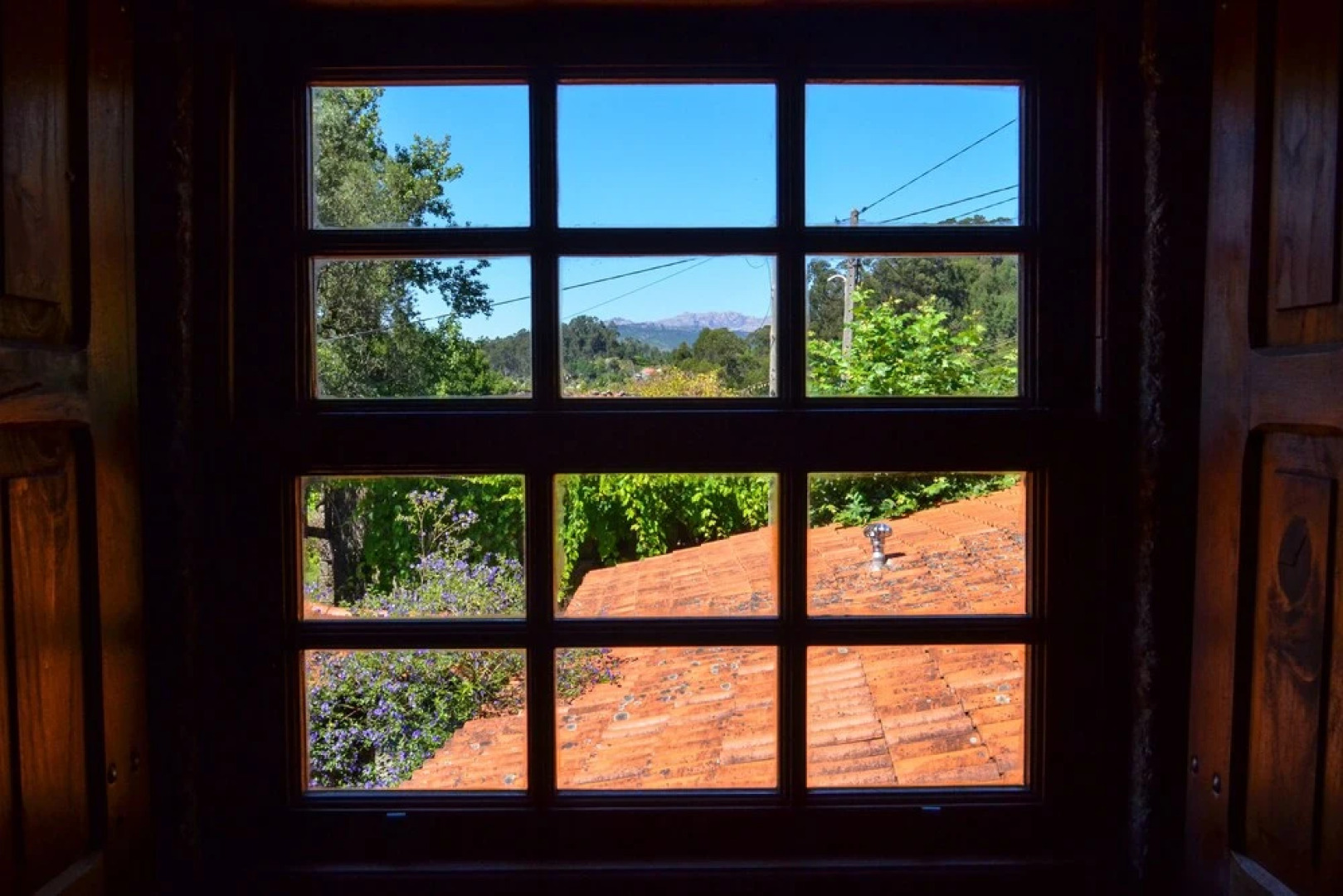 Quinta Brasão Da Caniçada