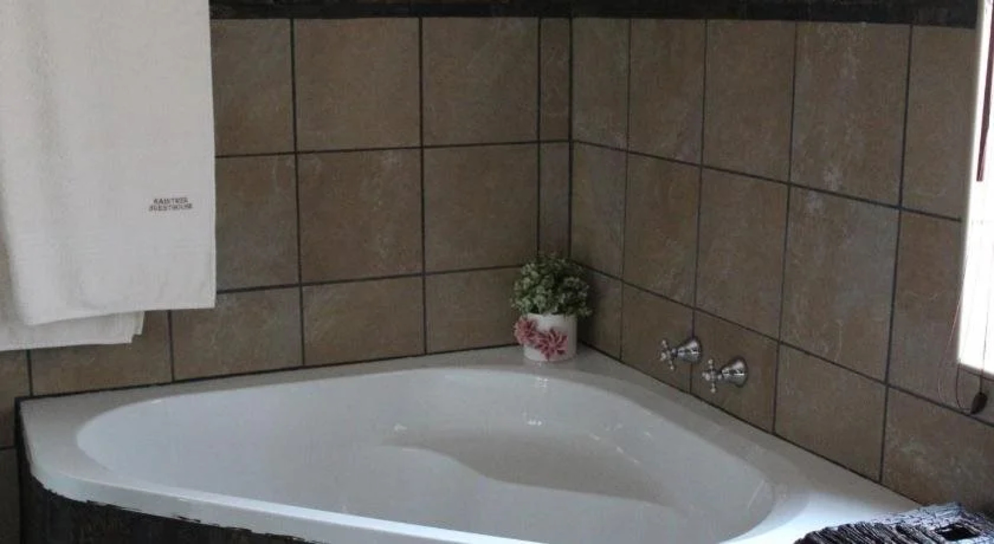 Raintree Guest House