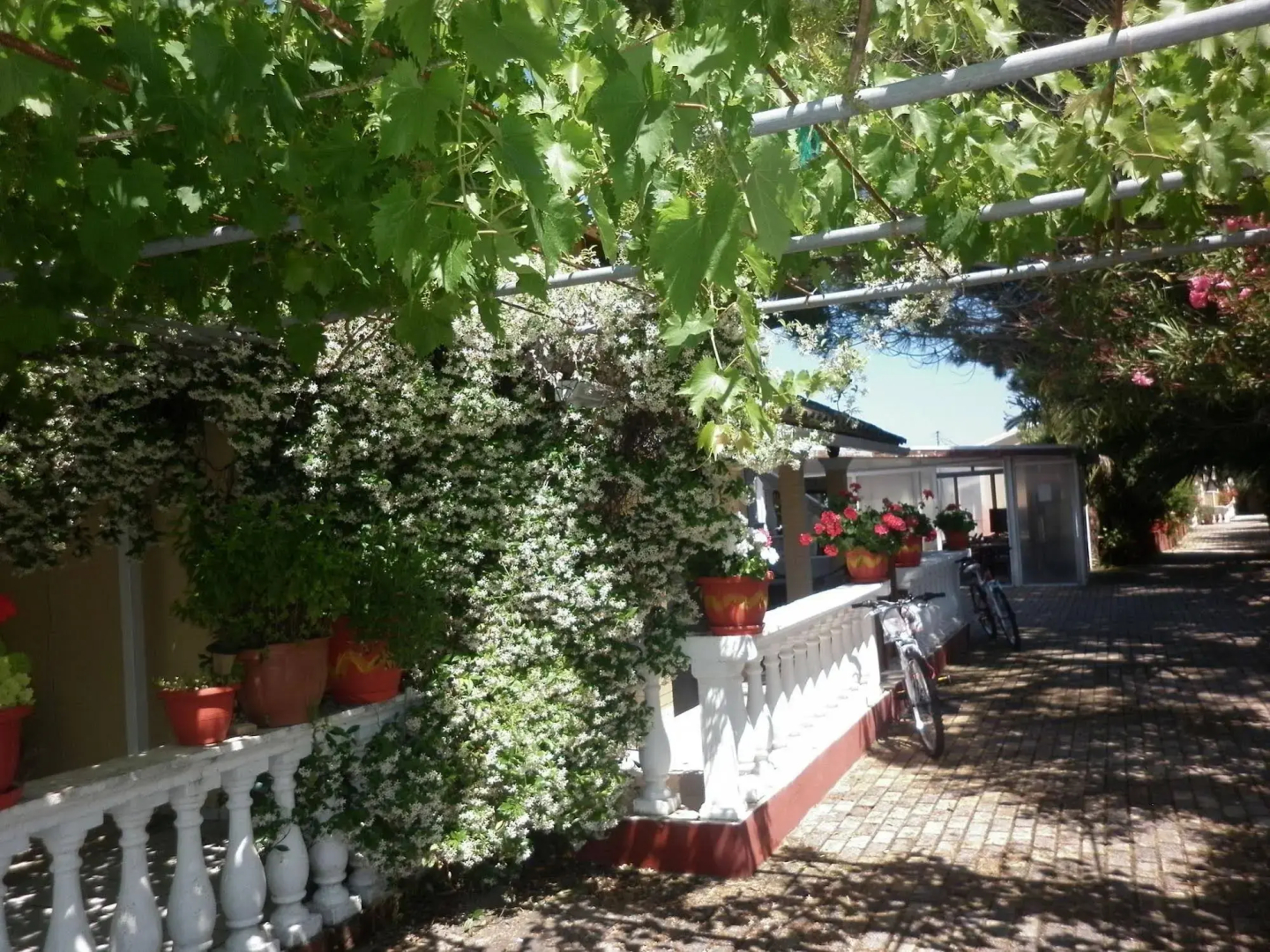 Eleni Family Apartments