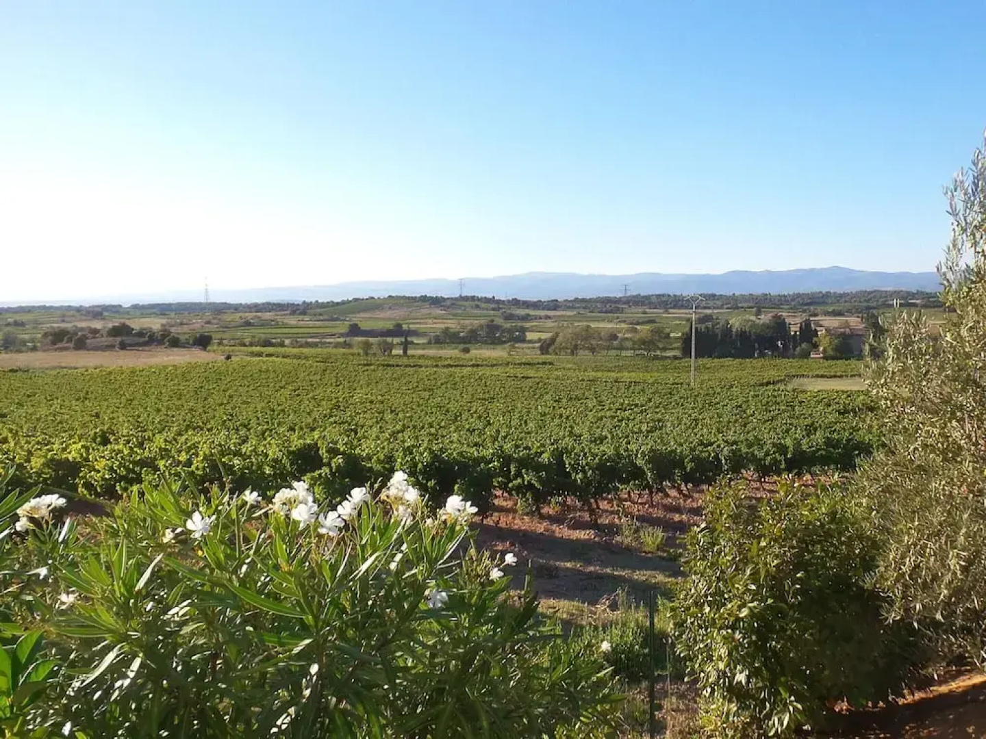 Villa in Montbrun With Pool and Mountain Views