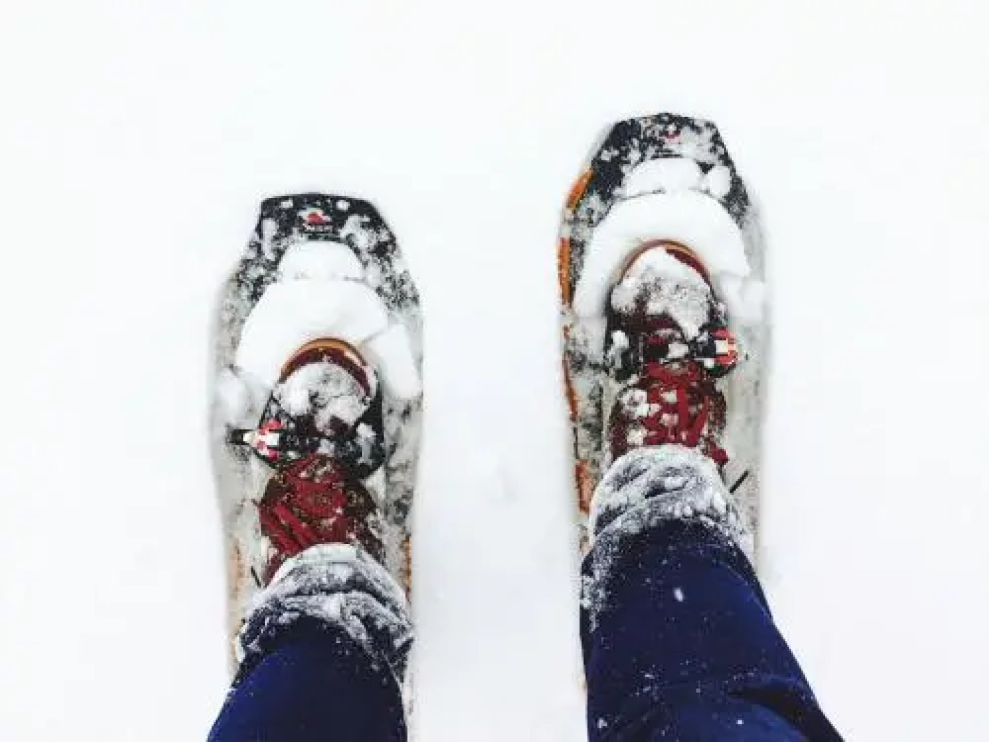 Row House Apartments of Levin Alppitalot