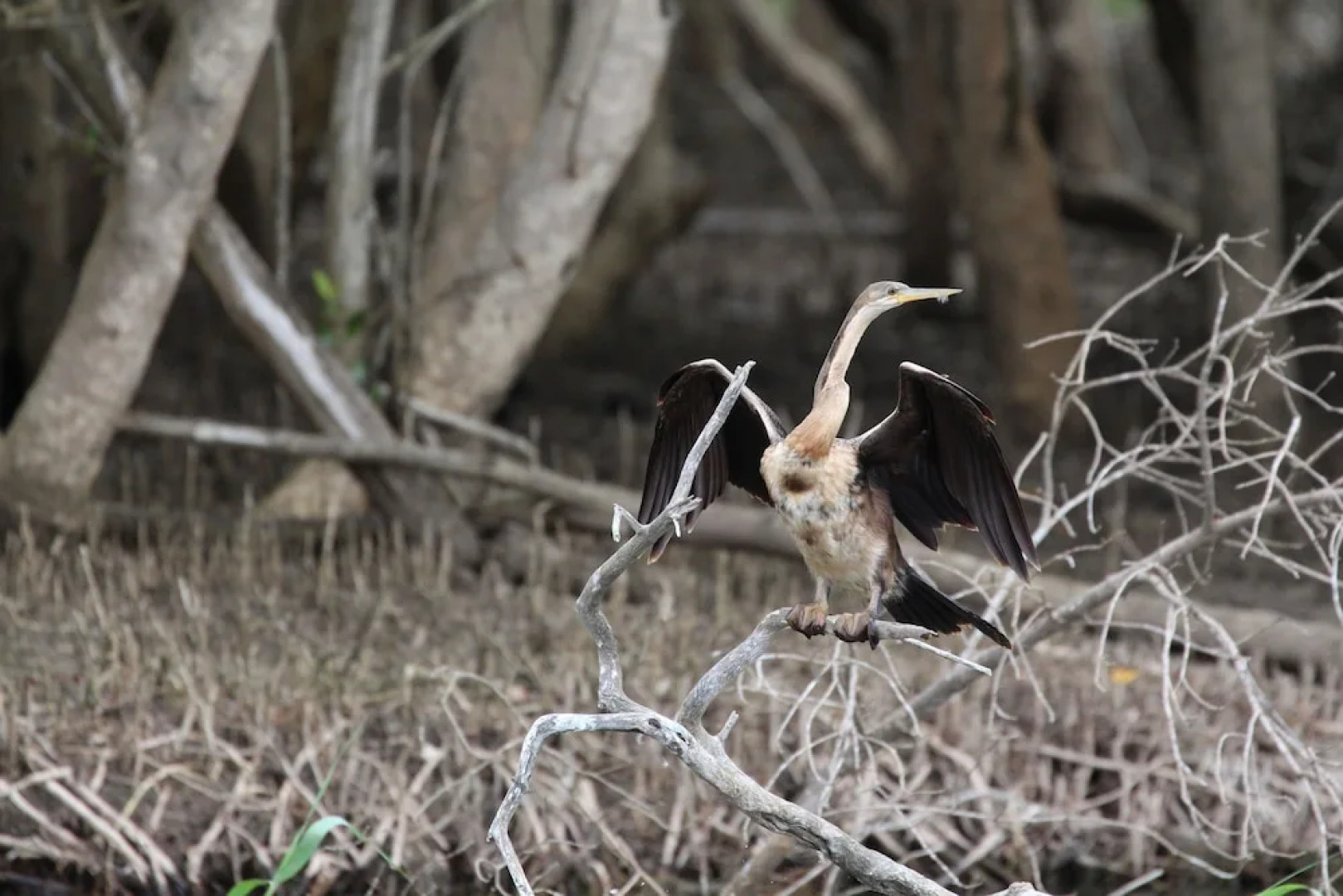 Rhino Coast Guest House