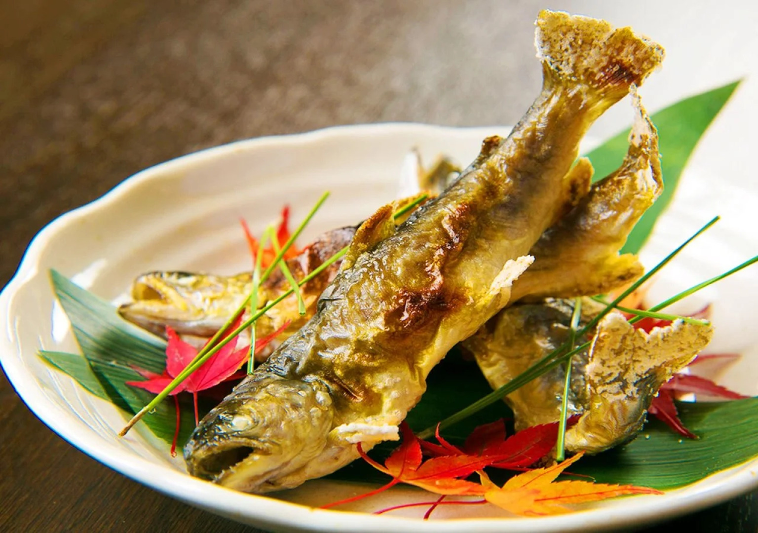 Tofukaiseki Sarugakyo Hotel