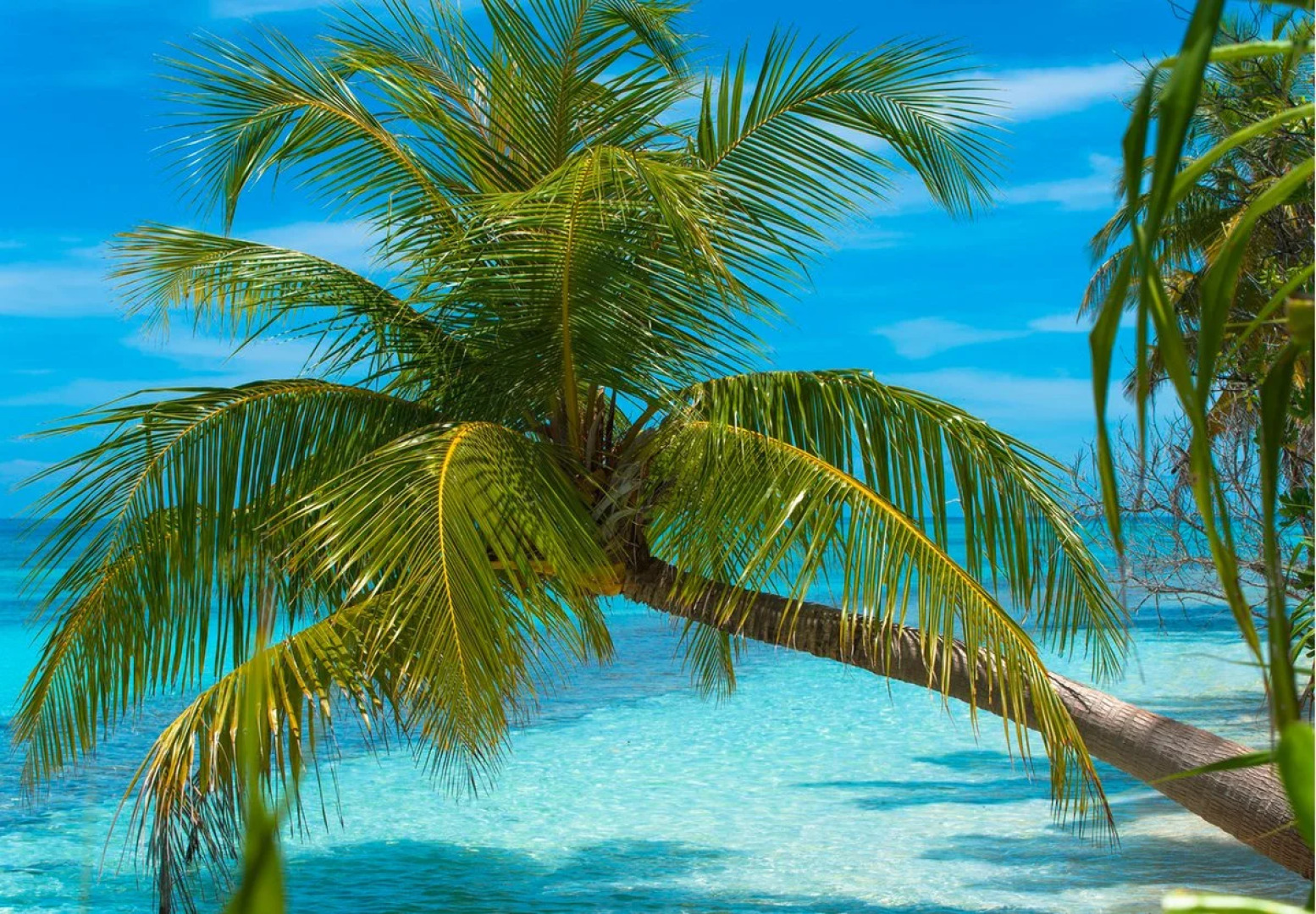 Отель Dhiguveli Maldives