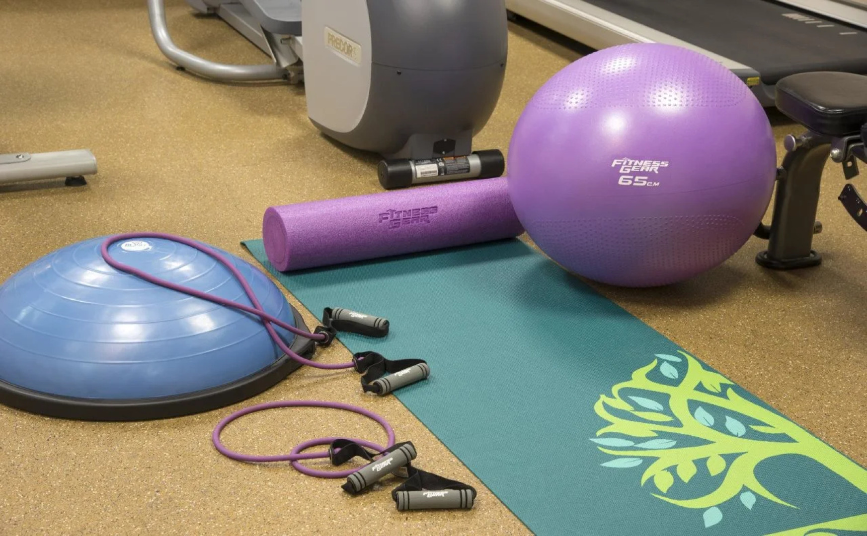 Holiday Inn Express Hotel & Suites Grand Rapids-North by IHG