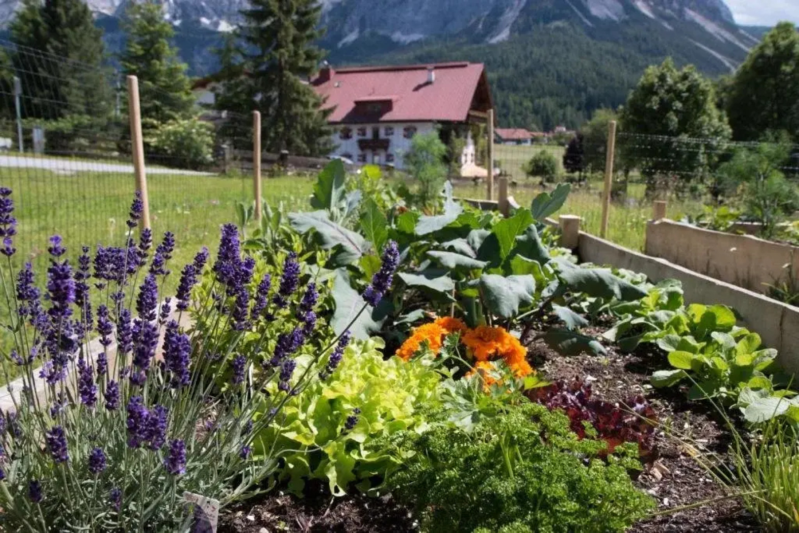 Apartments Ausfernerhof