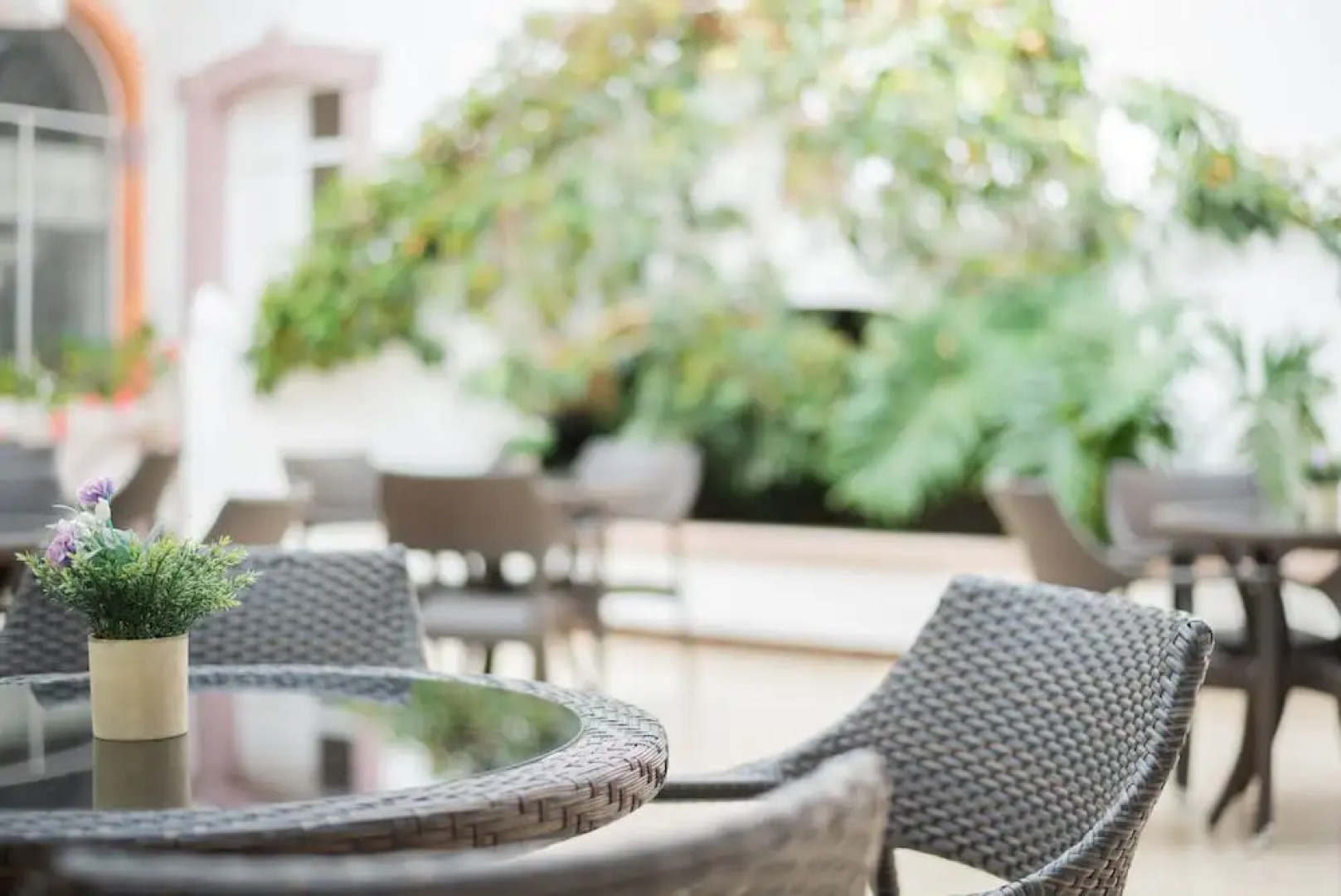 Hotel Mansión Arechiga