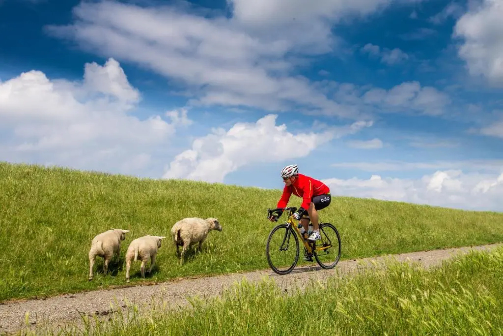 Farm house Van der Valk Hotel Leeuwarden