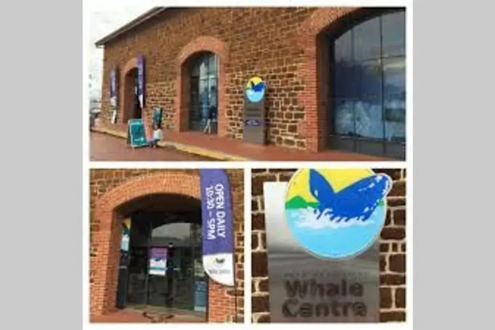 Victor Central Cottage Perfect Location