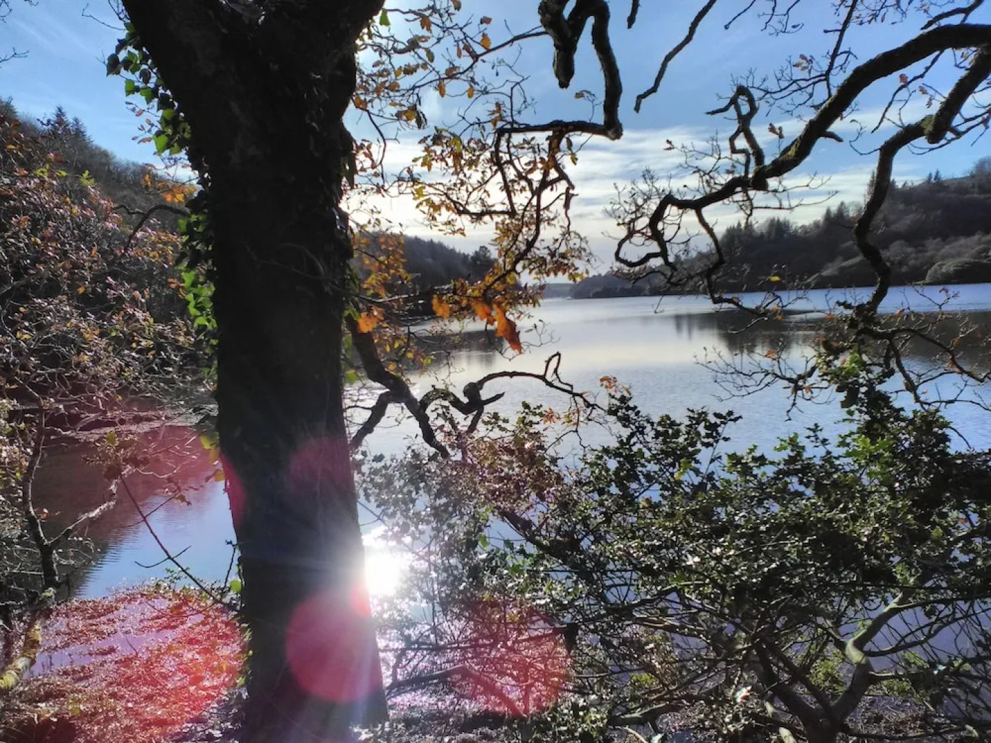 Lovely Sea View Apartment in Rineen - 4 Guests