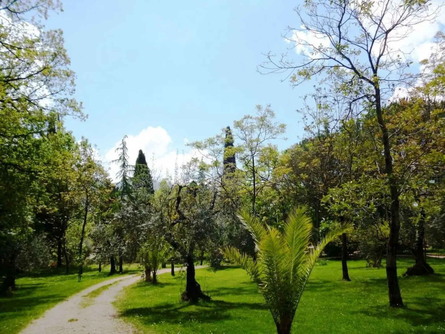 Appartamento Nocciolo