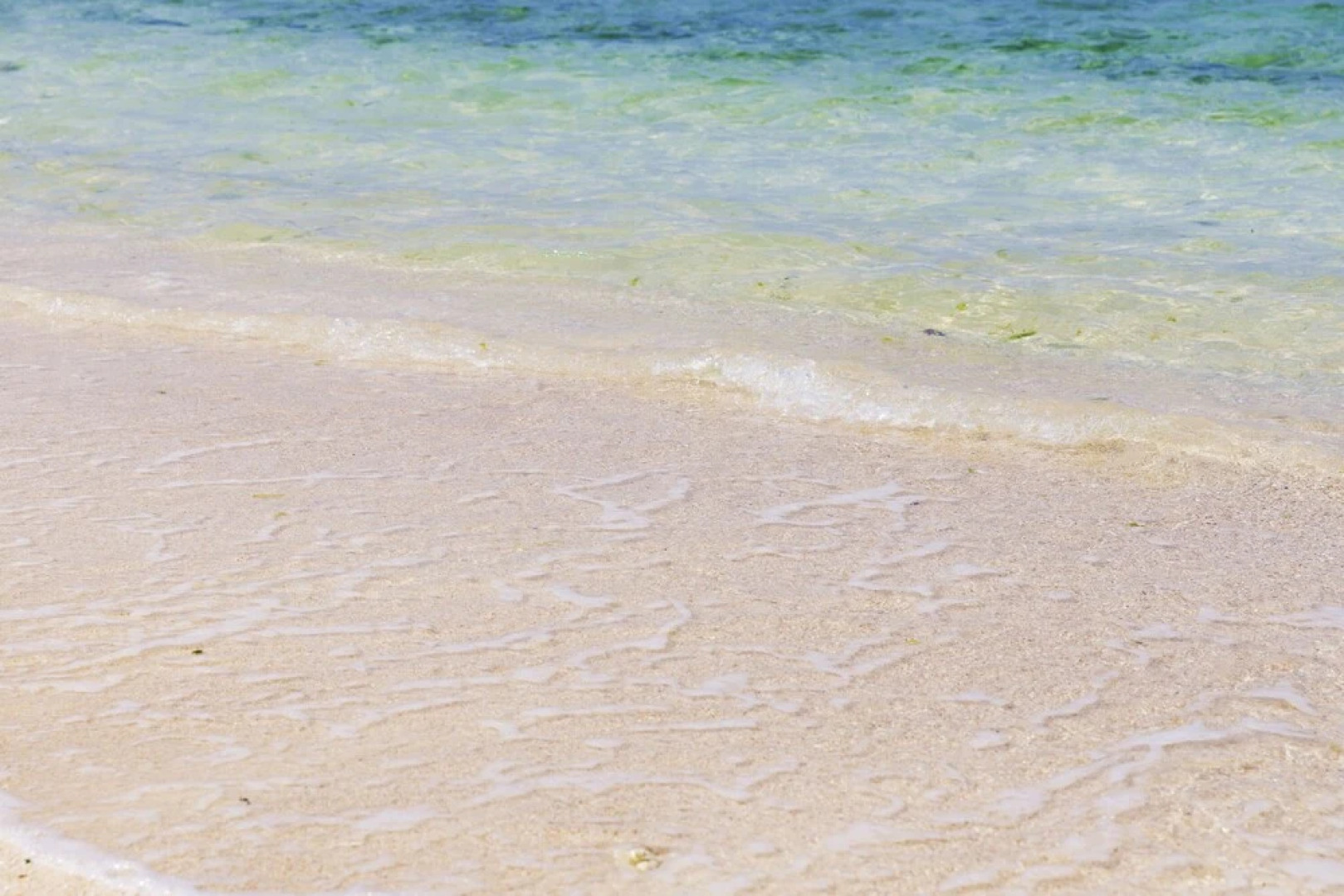 Blue Steak Wonder Nagahama