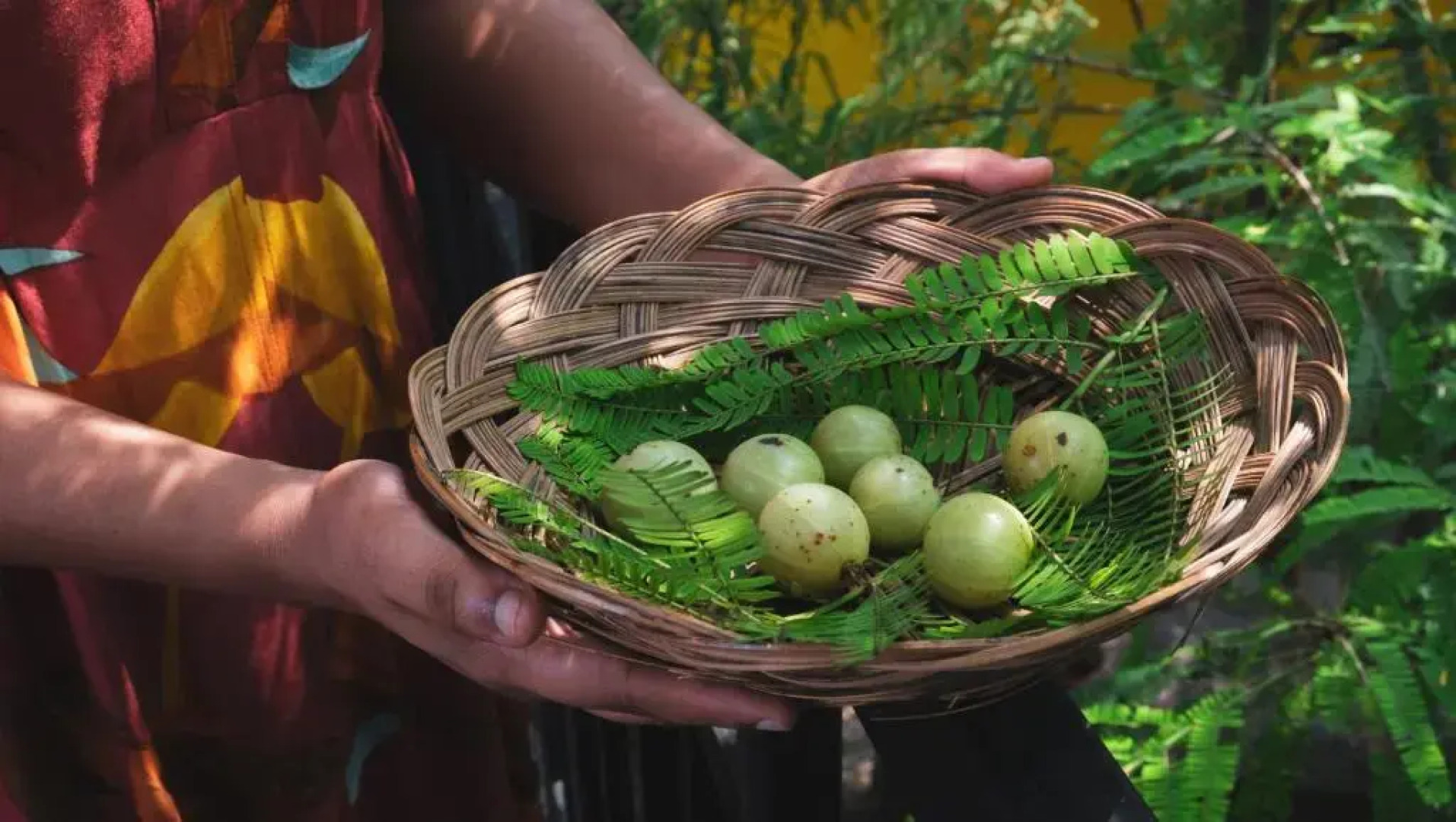 Rewa Hotels & Resorts