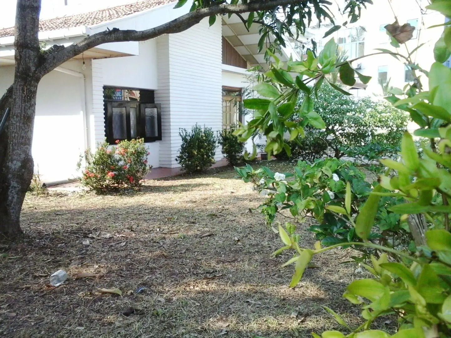 Mazz Homestay