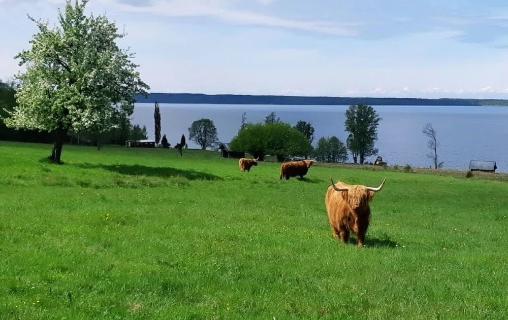 Guesthouse With Loft at Lake Skagern, Spa & Yoga