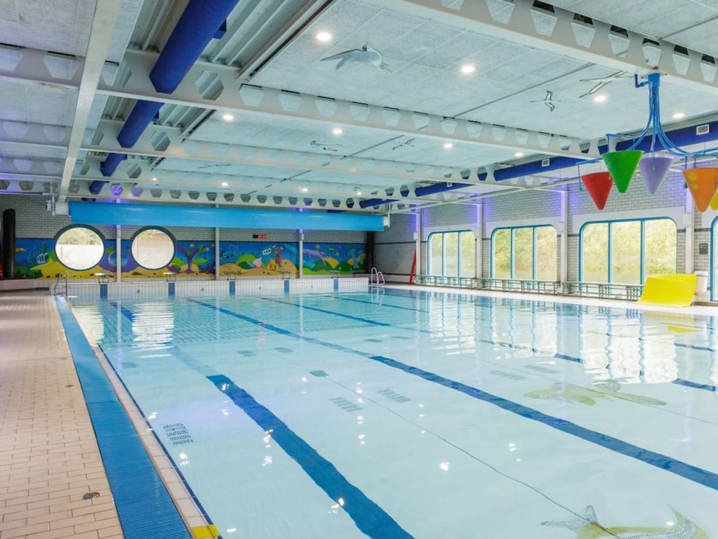 Sauna Chalet in Borger