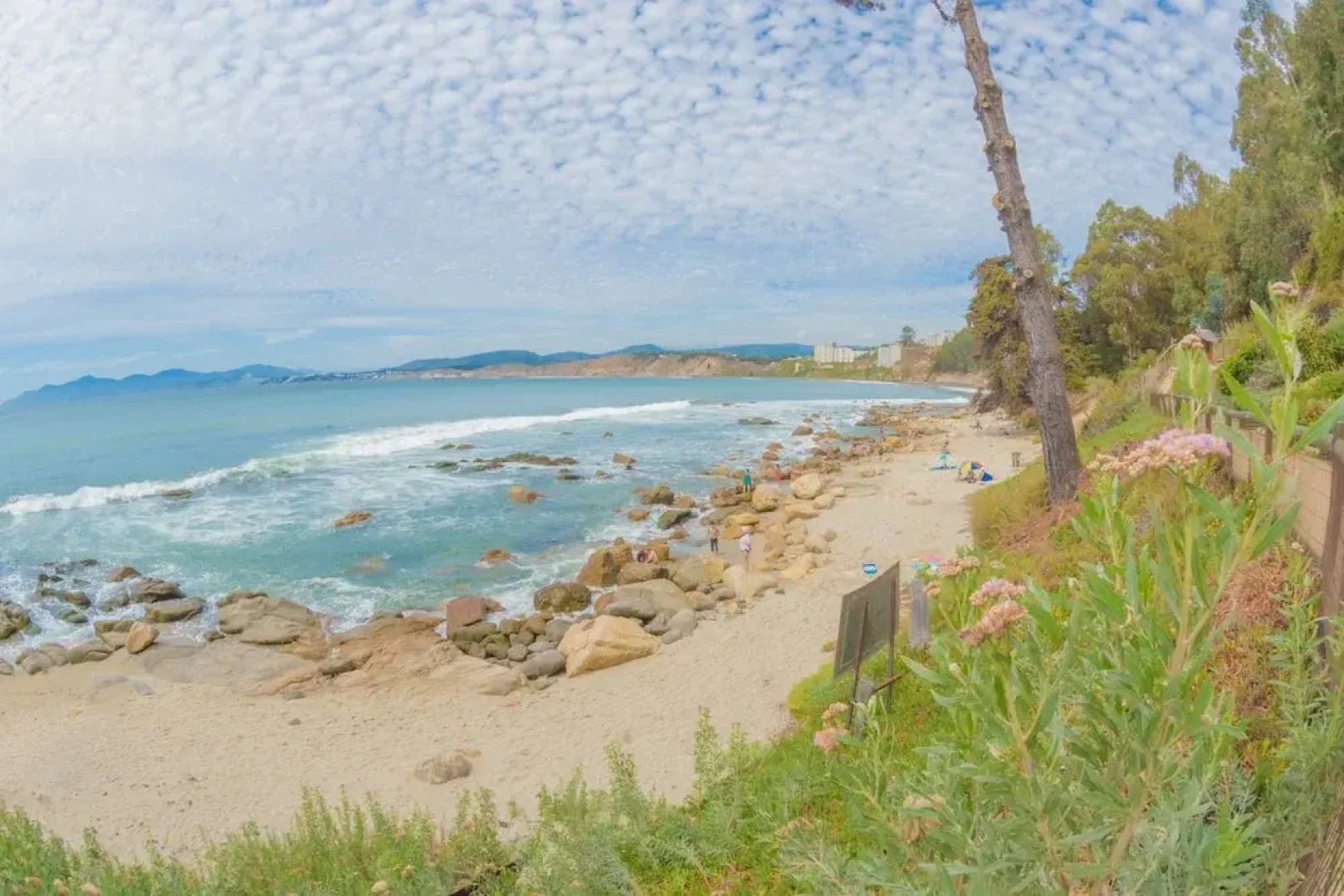 Oceana Suites Horcón