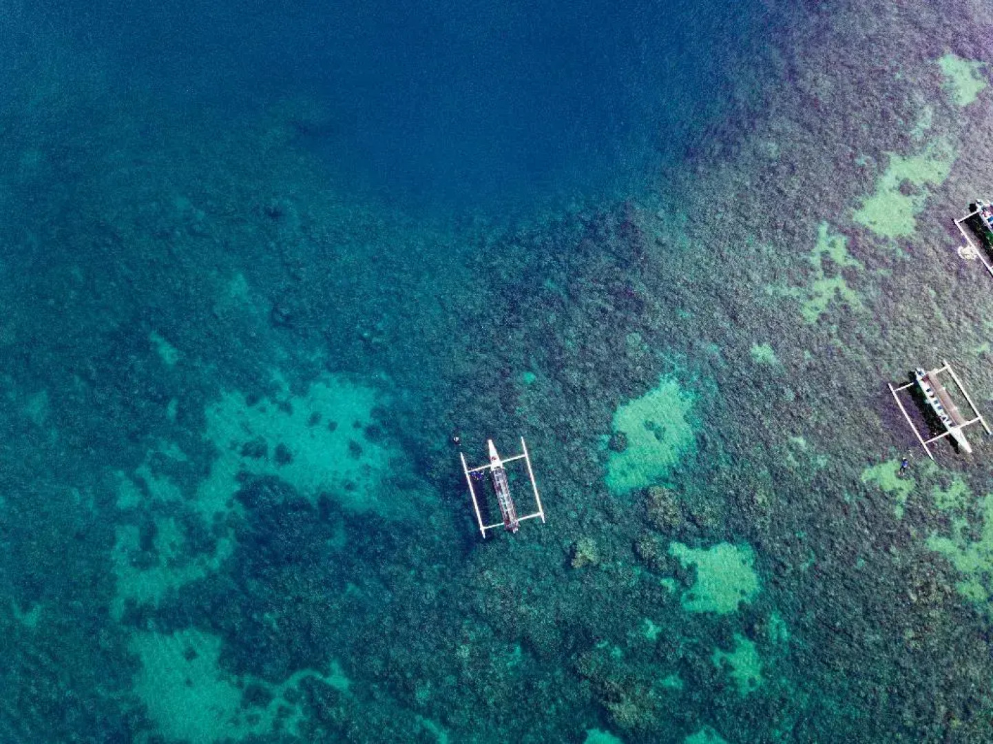 Maha Hills Resort by Mahaprana Experience