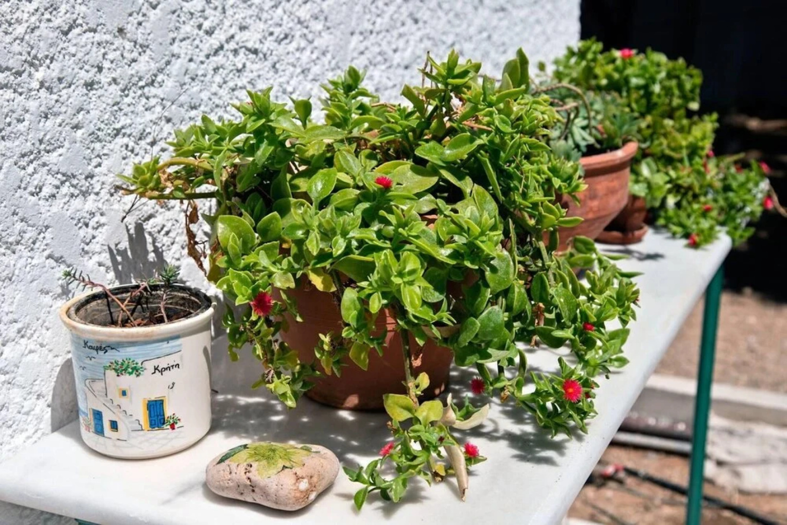 Apartments With sea View in Creta Ierapetra