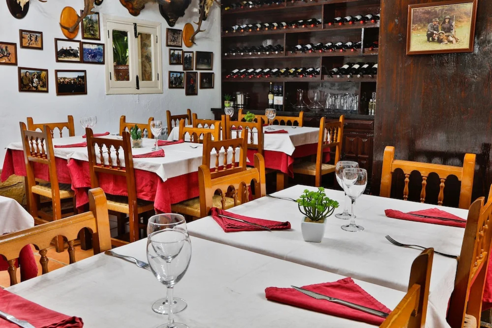 Noguera de la Sierpe