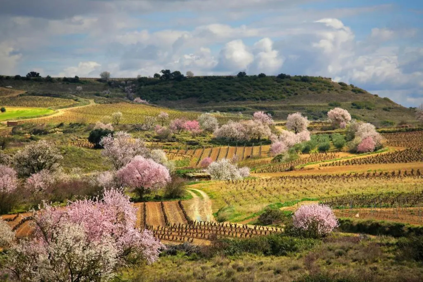 Pensión San Lorenzo