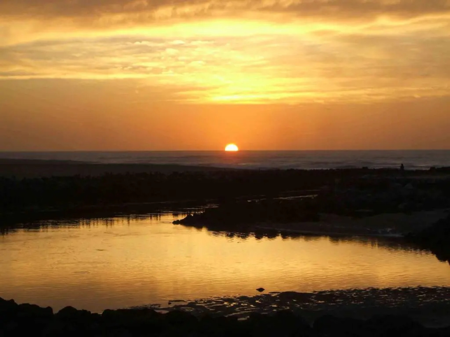 Appartements à côté Lac Marin de Port d'Albret
