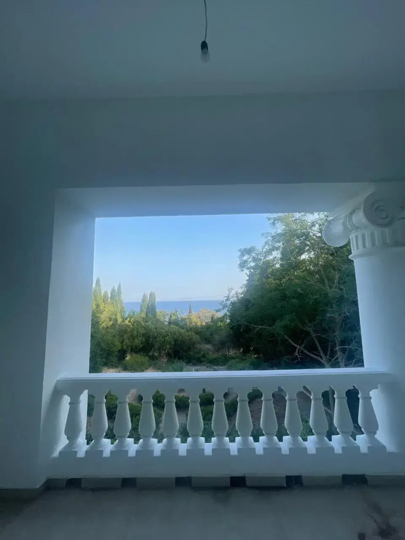 Белый лебедь