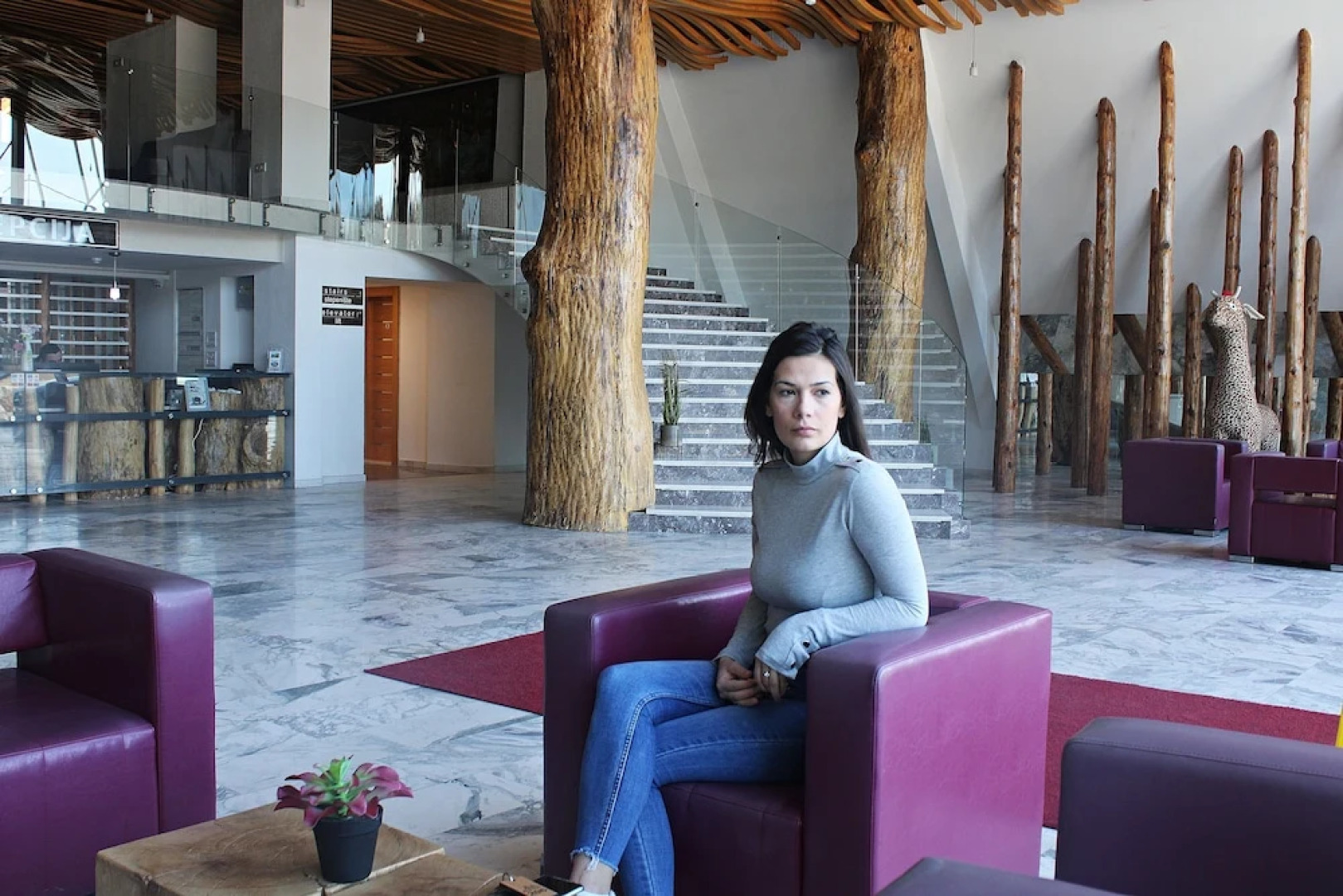 Hotel Borovi Sjenica