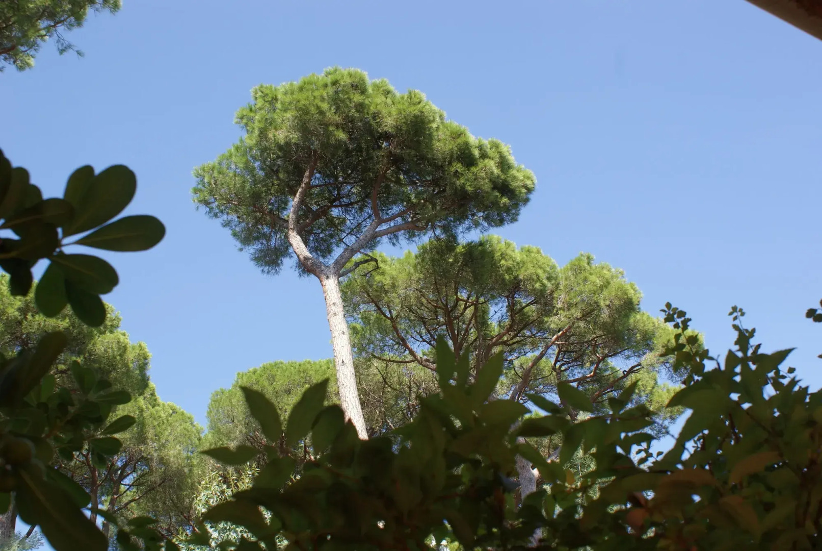 Hotel Les Jardins De Sainte Maxime