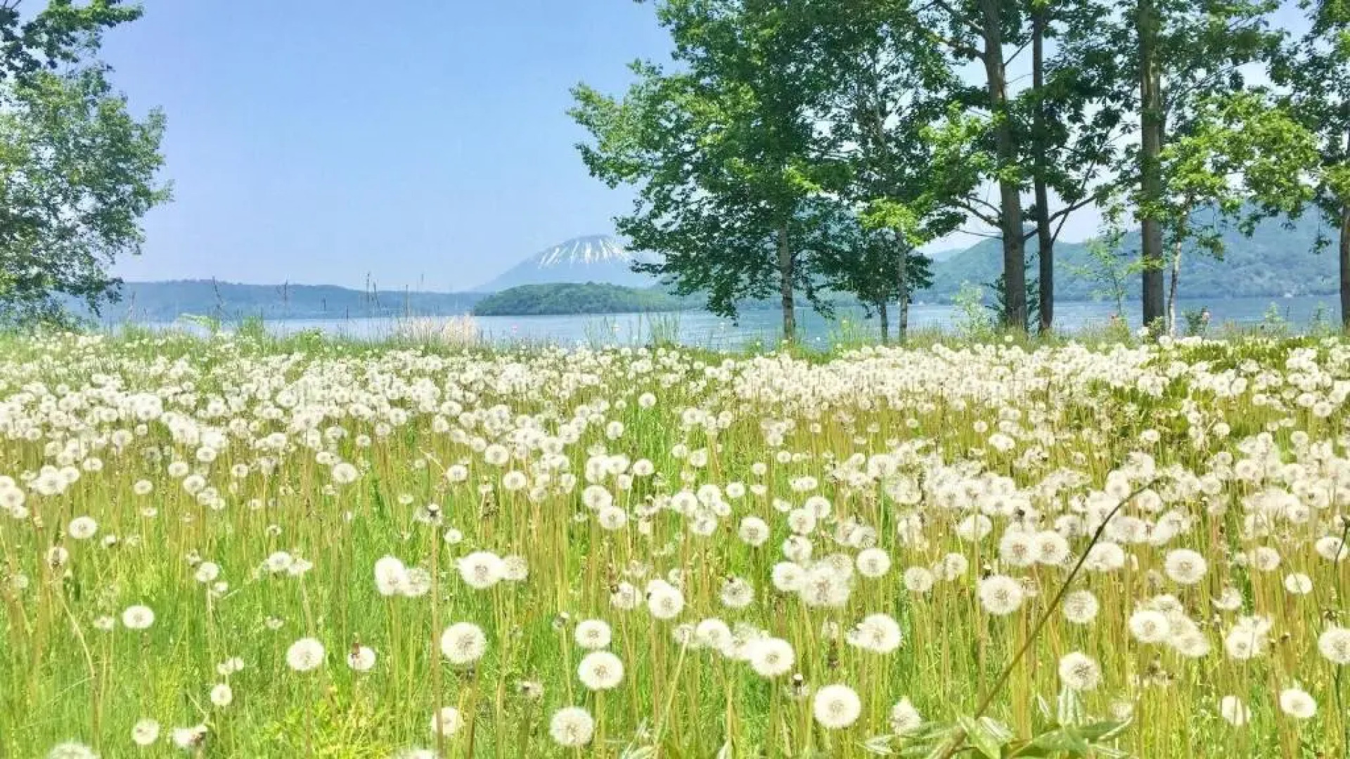 Second house TOYA / Vacation STAY 291