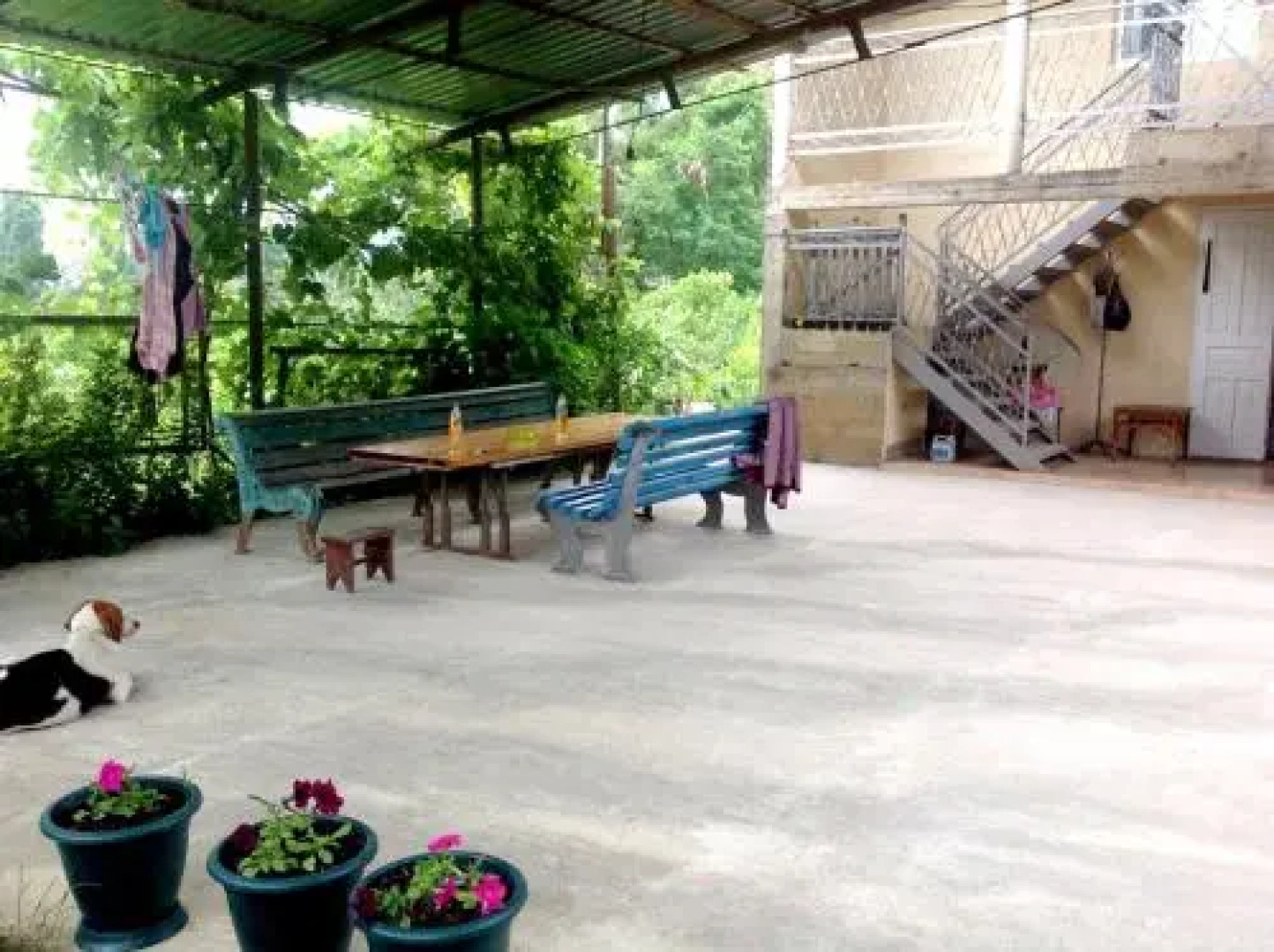 Guest house V ghostiakh u Susanny