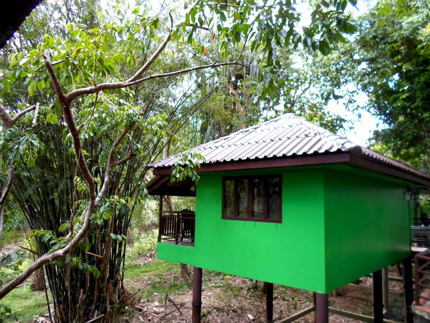Khao Sok River Lodge Hotel