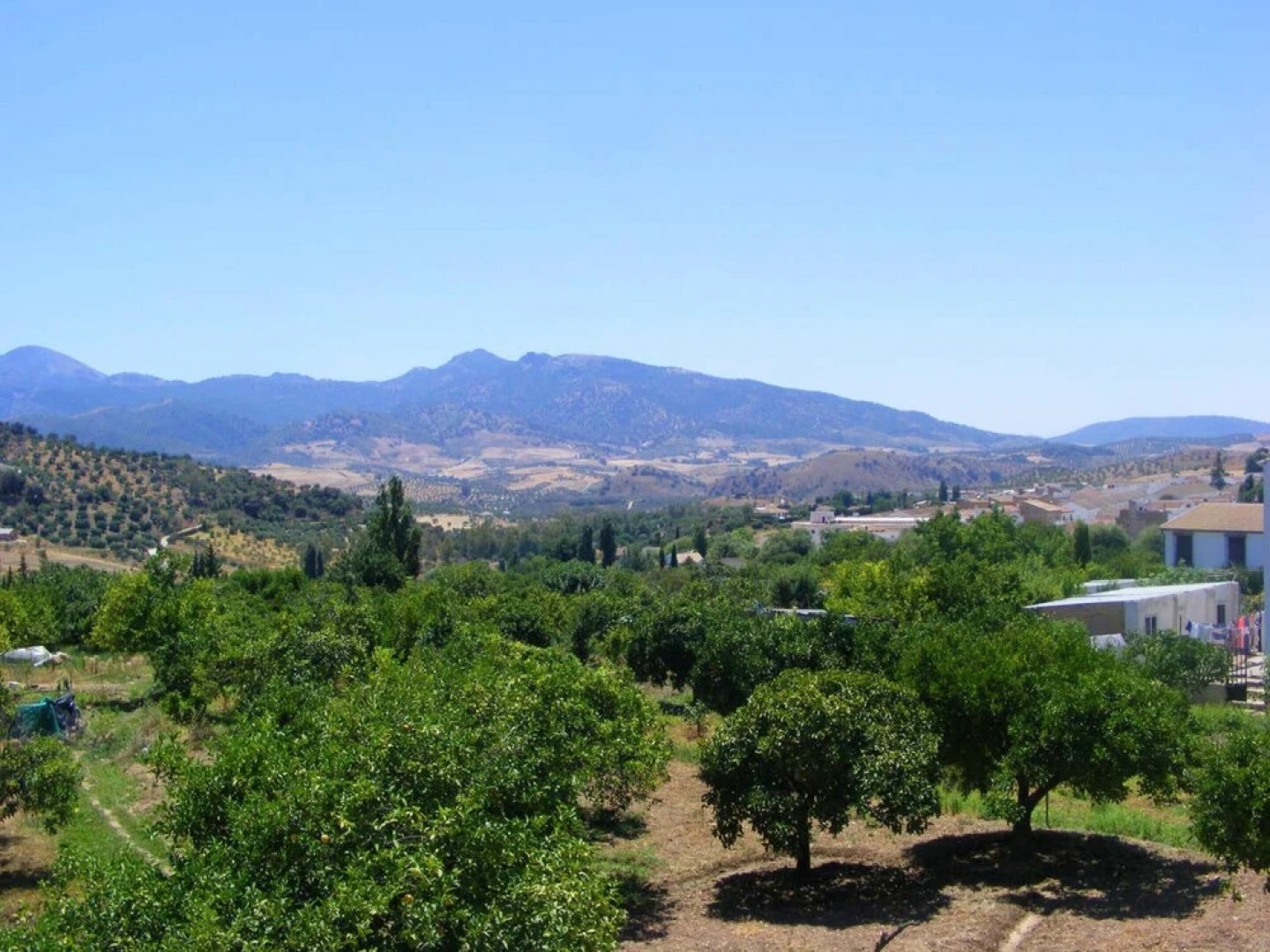 House With 3 Bedrooms in Algodonales, With Wonderful Mountain View, Enclosed Garden and Wifi