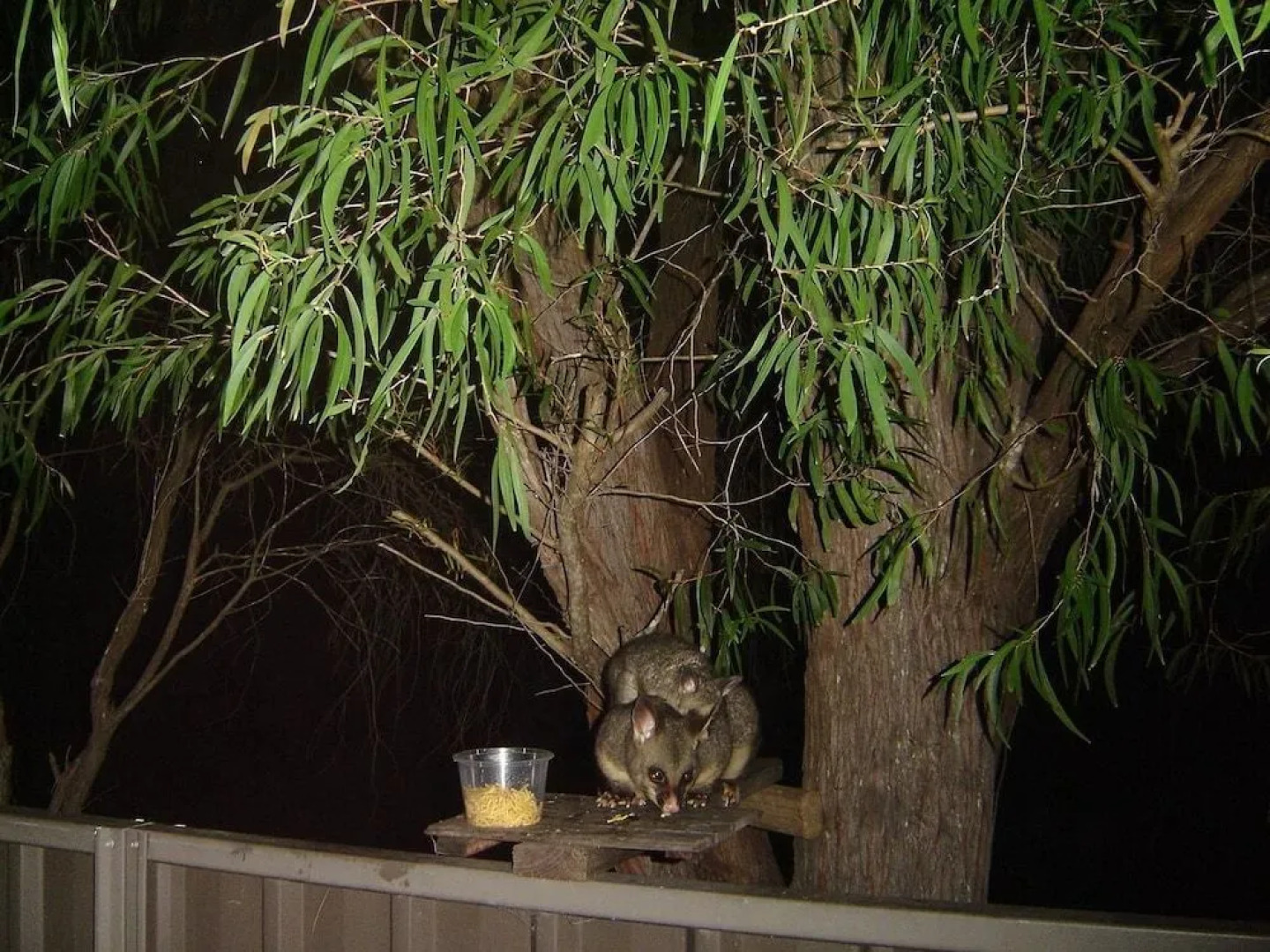 Breeze Inn Ulladulla