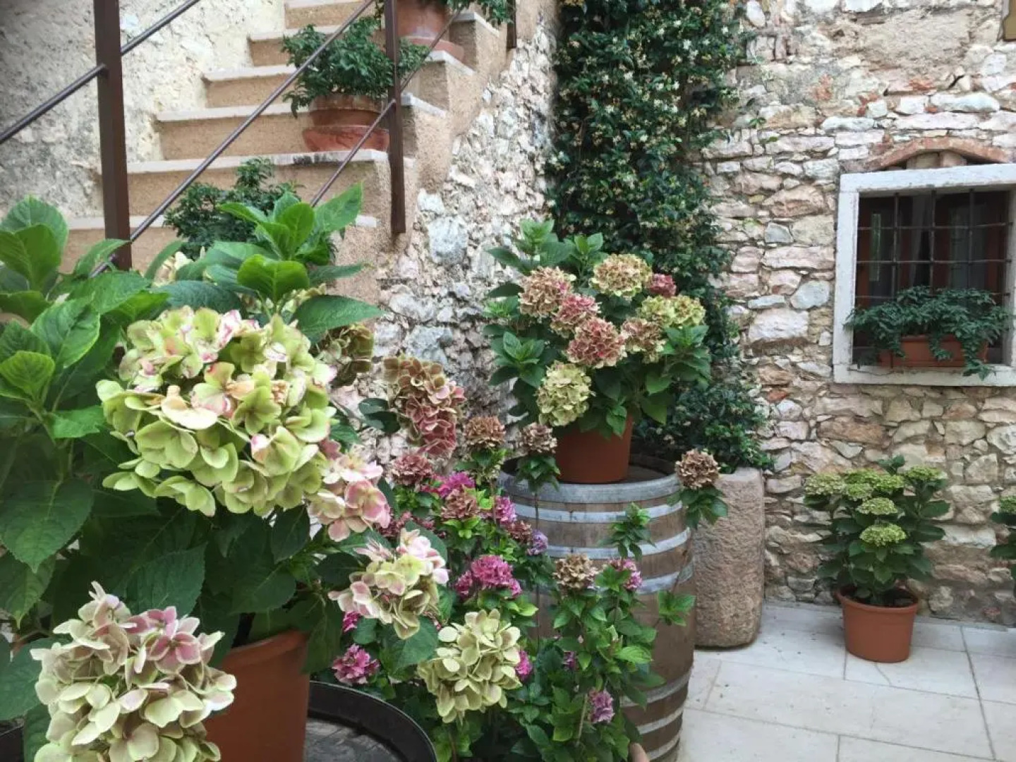 Agriturismo Ca Verde