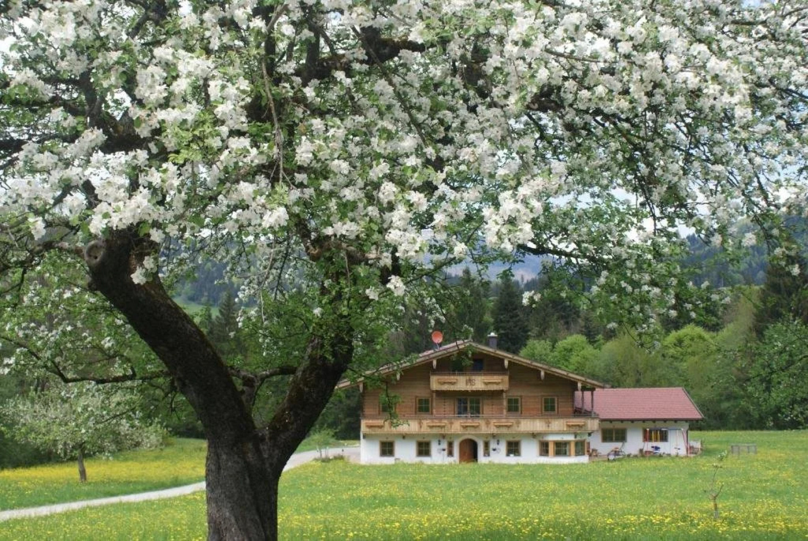 Landgasthof Ledererwirt